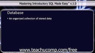 SQL Training - Structured Query Language Tutorial - Overview of a Database Lesson