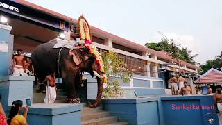 Sree Meenkulathi Bhagavathytemple Ulsavam_Aarattu