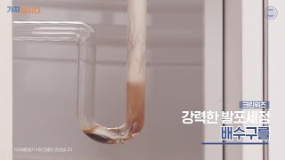 [IPTV] 크린위즈 배수구클리너