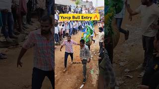 YCP Bull 🔥🐂 Entry Dornakambala Jallikattu 🤩 Shorts#jallikattu2025#runwithvinay#ycpbulls#ysrcp