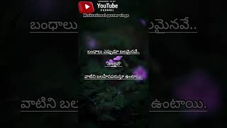 బంధాలు ఎప్పుడూ బలమైనవే..#whatsapp_status