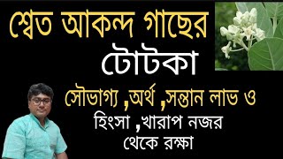 শ্বেত আকন্দ গাছের টোটকা প্রতিকার ||