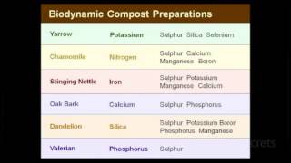 Hamish Mackay - Biodynamic Compost Preparations