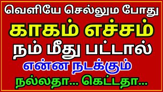 வெளியே செல்லும் போது காகம் எச்சம் நம் மீது பட்டால் என்ன நடக்கும் ||  Aanmeega Thagaval