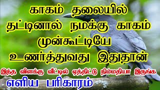 காகம் தலையில் தட்டினால் என்ன பலன் ? பரிகாரம் செய்வது எப்படி ?