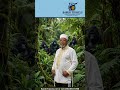 Baruk Travels And Go2africa Invite You To The Soul‑Stirring Power Of Gorilla Trekking In Rwanda And