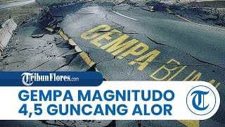 Gempa Bumi dengan Magnitudo 4,5 Mengguncang Alor NTT, BMKG: Tidak Ada Potensi Tsunami