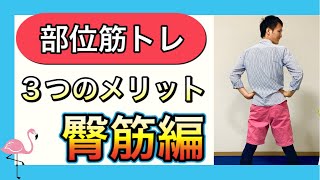 【シニア向けトレーニング】部位別筋トレ。臀筋を鍛えるメリットと効率的な鍛え方