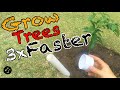How to plant a tree so that it grows 3 times faster. Root training method.