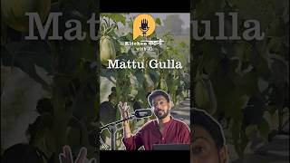 This Brinjal is GI tagged! 🍆 #podcast #ranveerbrar #mattugulla