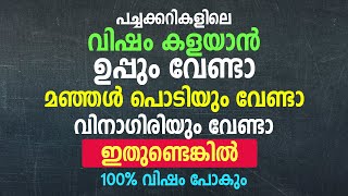 പച്ചക്കറികളിലെ വിഷം കളയാൻ ഉപ്പും, മഞ്ഞൾ പൊടിയും, വിനാഗിരിയൊന്നും വേണ്ടാ ഇതുണ്ടെങ്കിൽ.100% വിഷം പോകും