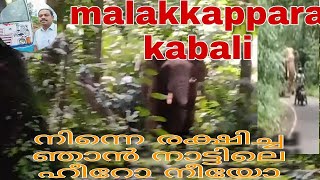 @Liyanalluvideos7034 chalakudy to malakkappara routile anna kazhchakal