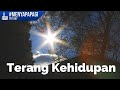 Menyapa Pagi | Rabu 22 Desember 2021 | Terang Kehidupan  | GBI Jatinegara