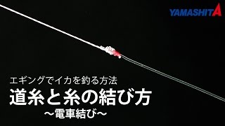 エギング入門者の方に！道糸とリーダーの結び方【電車結び】　YAMASHITA