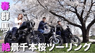 【群馬絶景】女ハーレー乗り、RZ250乗り、レブル乗りが日本一の桜の名所までツーリングしたら心の底から行ってよかったと思いました。「コラボ」「づめチャンネル」