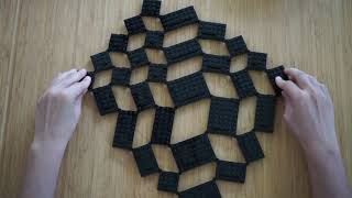 How to build a organic kinetic tessellation using LEGO® plates.