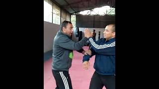 Jeet Kune Do techniques | Wing Chun traps #viral #shorts #wingchun