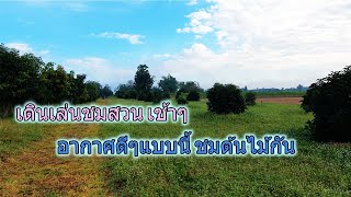 Morning walking พาเดินชมสวนยามเช้า ธันวาคม 2565 อากาศดีๆ