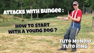 Bungee attacks training : how to start with a young dog - tuto ring - tuto mondioring - technics