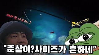 이상하다~볼락 사이즈가 요즘 미쳐버린거 같은데..이정도로 흔할리가 없는데..바다가 이상해