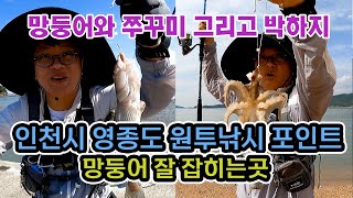 인천시 영종도 원투낚시 최고의포인트 , 물때 상관없이 언제든지 가능한 낚시터 , 서울근교낚시 망둥어 쭈꾸미 박하지 아주 잘 잡혀요 , 낚시입문 망둥어밭 낚시포인트