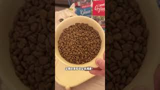 【#薄荷猫猫甜不甜】当爱照镜子臭美小猫遇见哈哈镜贴纸! #渴望#渴望猫粮#渴望让原始猎食觉醒