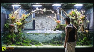 I Released NEW CREATURES Into My Giant Tropical Wetlands Vivarium