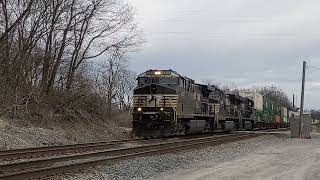 A Very Long Norfolk Southern Intermodal Train