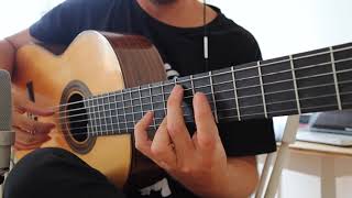 GOAT Polyphia Flamenco guitar
