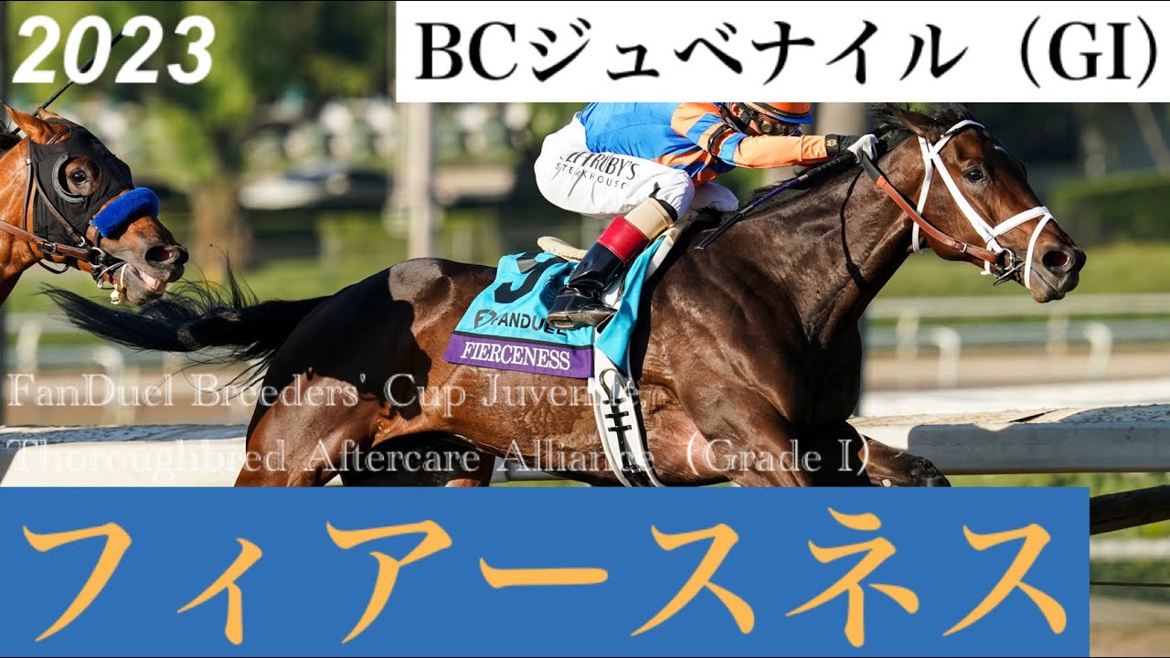 BCジュベナイル2023 / FanDuel Breeders' Cup Juvenile, Thoroughbred Aftercare ...