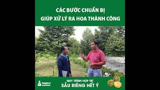 CÁC BƯỚC CHUẨN BỊ GIÚP XỬ LÝ RA HOA THÀNH CÔNG