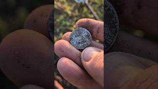 #metaldetecting #history #коп #latvia #metaldetector #diggers #coin #история #металлоискатель