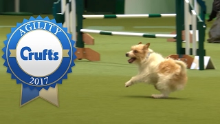 Hilarious Highlights from Rescue Dog Agility | Crufts 2017