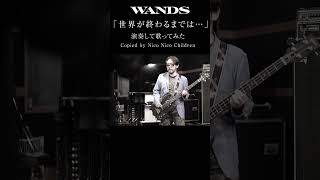 WANDS「世界が終るまでは…」を演奏して歌ってみた by ニコチル