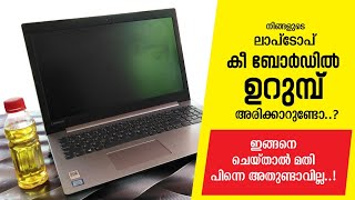 Laptop Keyboard ൽ ഇനി ഉറുമ്പ് അരിക്കില്ല | ഇങ്ങനെ ചെയ്താൽ | Remove ants from laptop keyboard