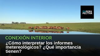 El clima en Uruguay. ¿Cómo es? ¿Qué importancia tienen para el agro los informes metereológicos?