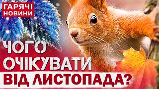 ПРИЙДЕ НОВИЙ АНТИЦИКЛОН?! Погода в Україні вражає! Який прогноз цього тижня?