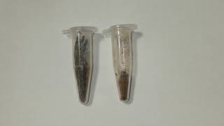Stable Isotope Sample Preparation