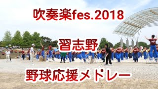 【蔵出し】吹奏楽fes.2018　習志野　野球応援メドレー　amバージョン