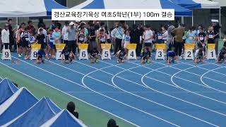 경산교육장기육상 여초5학년(1부) 100m결승