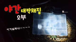 [2부] 야밤에 혼자서 사슴벌레 채집하러 갔는데??와~대박!!! [정브르]