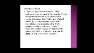 Arabinose operon