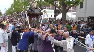 第４２回かわさき市民祭り・神輿パレード_1の1各会巡行 2019/11/03