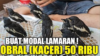 SEDIH GA LAKU LAKU MAS INI JUAL CUMA 50 RIBU DAPET KACER BUAT MODAL LAMARAN !