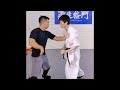 Wing Chun vs ITF TKD, WT Taekwondo, and Kyokushin