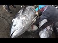 How to Cut a 220KG Bluefin Tuna - Taiwanese seafood