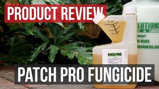 Patch Pro Fungicide: Product Review