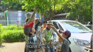 風の言葉（2014.8.3）～「名前を知って自然に親しむ」　神奈川県大和市／泉の森～