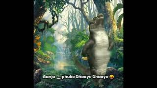 sev mausambi bye bye daru pilo Dhae dhae crocodile dancing trending Instagram meme template