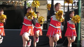 医大祭　チアリーディング部　2022年　4K60ｐ